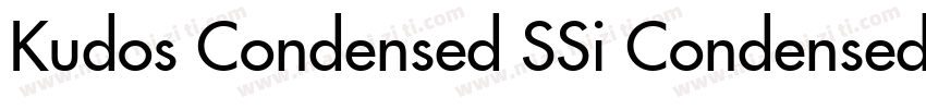 Kudos Condensed SSi Condensed Ital字体转换